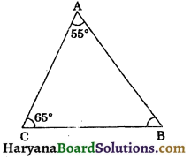 HBSE 9th Class Maths Important Questions Chapter 7 Triangles - 10