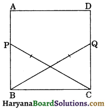 HBSE 9th Class Maths Important Questions Chapter 7 Triangles - 13