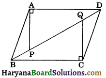 HBSE 9th Class Maths Important Questions Chapter 7 Triangles - 17