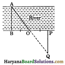 HBSE 9th Class Maths Important Questions Chapter 7 Triangles - 6
