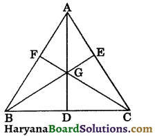 HBSE 9th Class Maths Important Questions Chapter 9 Areas of Parallelograms and Triangles 32
