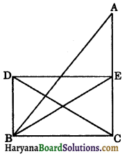 HBSE 9th Class Maths Important Questions Chapter 9 Areas of Parallelograms and Triangles 7