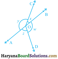 HBSE 9th Class Maths Solutions Chapter 6 Lines and Angles Ex 6.1 - 4