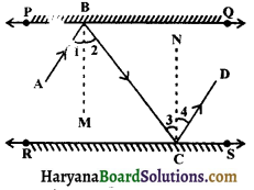 HBSE 9th Class Maths Solutions Chapter 6 Lines and Angles Ex 6.2 - 8