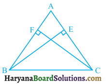 HBSE 9th Class Maths Solutions Chapter 7 Triangles Ex 7.2 - 4