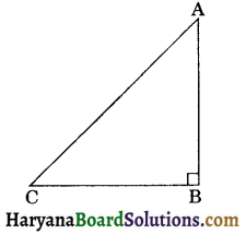 HBSE 9th Class Maths Solutions Chapter 7 Triangles Ex 7.4 - 1