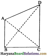 HBSE 9th Class Maths Solutions Chapter 7 Triangles Ex 7.4 - 5