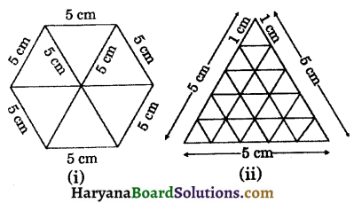 HBSE 9th Class Maths Solutions Chapter 7 Triangles Ex 7.5 - 6