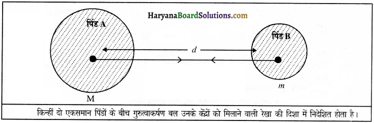HBSE 9th Class Science Important Questions Chapter 10 गुरुत्वाकर्षण 13