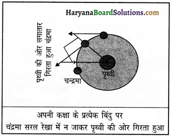 HBSE 9th Class Science Important Questions Chapter 10 गुरुत्वाकर्षण 5