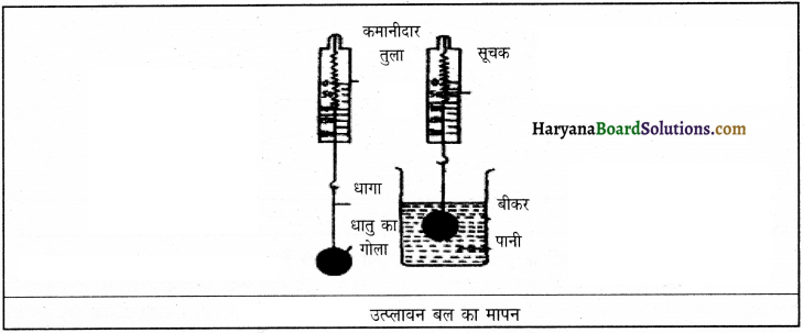 HBSE 9th Class Science Important Questions Chapter 10 गुरुत्वाकर्षण 8