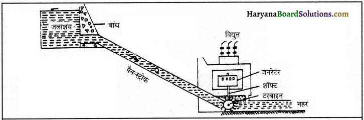HBSE 9th Class Science Important Questions Chapter 11 कार्य तथा ऊर्जा 3