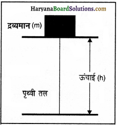 HBSE 9th Class Science Important Questions Chapter 11 कार्य तथा ऊर्जा 9