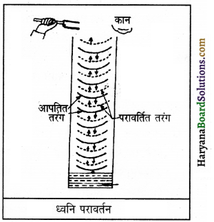 HBSE 9th Class Science Important Questions Chapter 12 ध्वनि 10