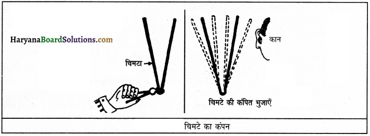 HBSE 9th Class Science Important Questions Chapter 12 ध्वनि 12