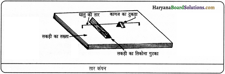 HBSE 9th Class Science Important Questions Chapter 12 ध्वनि 13