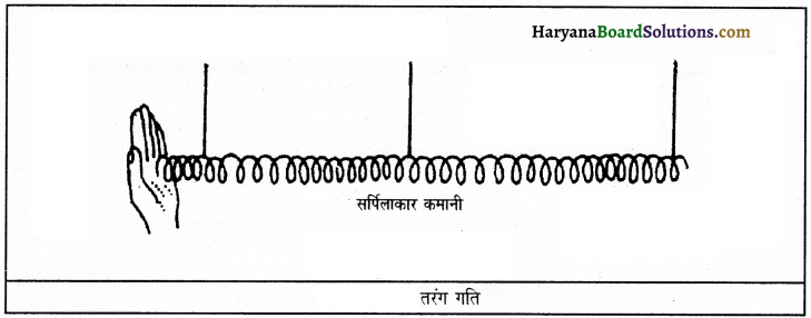 HBSE 9th Class Science Important Questions Chapter 12 ध्वनि 2