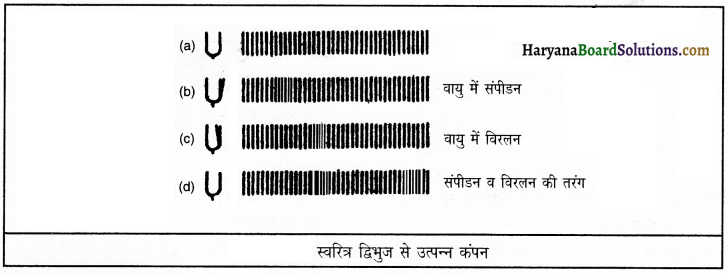 HBSE 9th Class Science Important Questions Chapter 12 ध्वनि 3