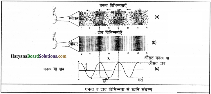 HBSE 9th Class Science Important Questions Chapter 12 ध्वनि 5