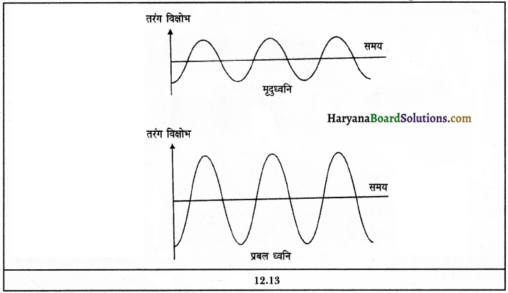 HBSE 9th Class Science Important Questions Chapter 12 ध्वनि 7