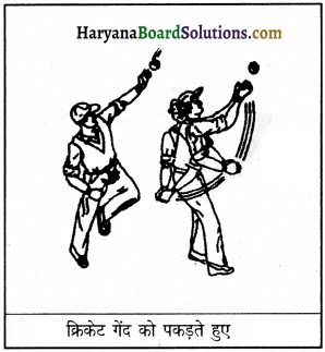 HBSE 9th Class Science Important Questions Chapter 9 बल तथा गति के नियम 4