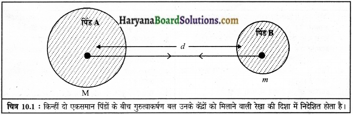 HBSE 9th Class Science Solutions Chapter 10 गुरुत्वाकर्षण img-1