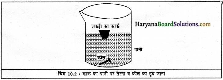 HBSE 9th Class Science Solutions Chapter 10 गुरुत्वाकर्षण img-2