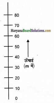 HBSE 9th Class Science Solutions Chapter 10 गुरुत्वाकर्षण img-3