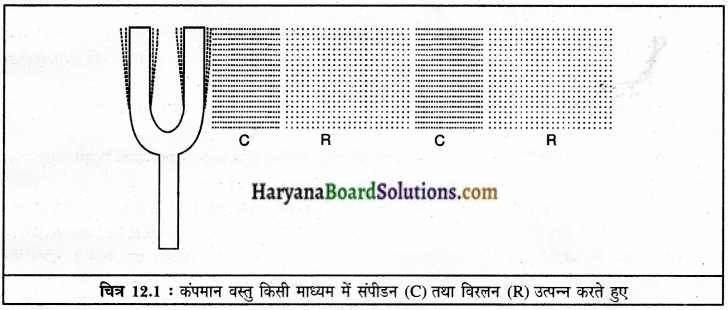 HBSE 9th Class Science Solutions Chapter 12 ध्वनि img-1