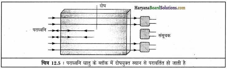HBSE 9th Class Science Solutions Chapter 12 ध्वनि img-10
