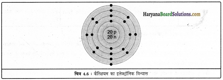 HBSE 9th Class Science Solutions Chapter 4 परमाणु की संरचना img-6