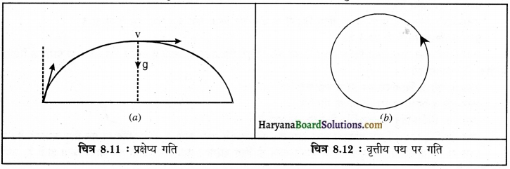 HBSE 9th Class Science Solutions Chapter 8 गति img-19