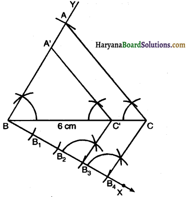 Haryana Board 10th Class Maths Solutions Chapter 11 Constructions Ex 11.1 5