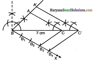 Haryana Board 10th Class Maths Solutions Chapter 11 Constructions Ex 11.1 6