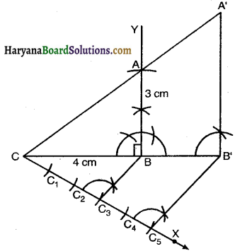 Haryana Board 10th Class Maths Solutions Chapter 11 Constructions Ex 11.1 7