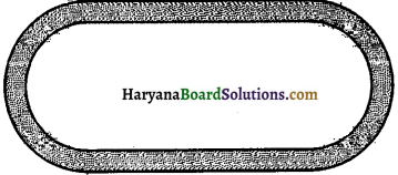 Haryana Board 10th Class Maths Solutions Chapter 12 Areas Related to Circles Ex 12.3 8