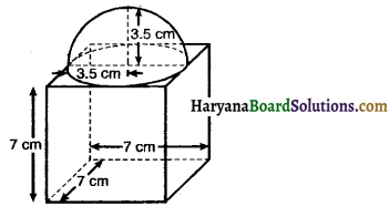 Haryana Board 10th Class Maths Solutions Chapter 13 Surface Areas and Volumes Ex 13.1 4