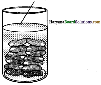 Haryana Board 10th Class Maths Solutions Chapter 13 Surface Areas and Volumes Ex 13.2 3