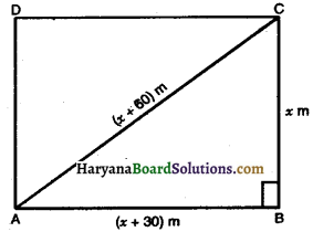 Haryana Board 10th Class Maths Solutions Chapter 4 Quadratic Equations Ex 4.3 7