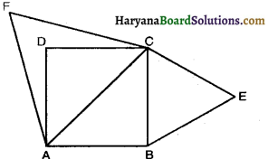 Haryana Board 10th Class Maths Solutions Chapter 6 Triangles Ex 6.4 10