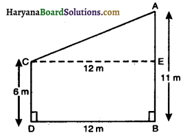 Haryana Board 10th Class Maths Solutions Chapter 6 Triangles Ex 6.5 13