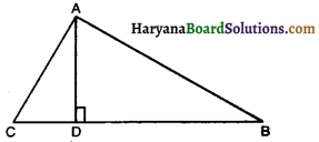 Haryana Board 10th Class Maths Solutions Chapter 6 Triangles Ex 6.5 15