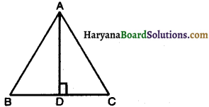 Haryana Board 10th Class Maths Solutions Chapter 6 Triangles Ex 6.5 17