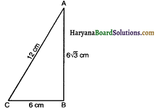 Haryana Board 10th Class Maths Solutions Chapter 6 Triangles Ex 6.5 18