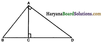 Haryana Board 10th Class Maths Solutions Chapter 6 Triangles Ex 6.5 2
