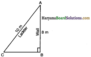 Haryana Board 10th Class Maths Solutions Chapter 6 Triangles Ex 6.5 9