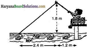Haryana Board 10th Class Maths Solutions Chapter 6 Triangles Ex 6.6 12