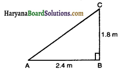 Haryana Board 10th Class Maths Solutions Chapter 6 Triangles Ex 6.6 13