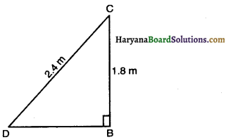 Haryana Board 10th Class Maths Solutions Chapter 6 Triangles Ex 6.6 14