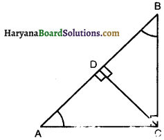 Haryana Board 10th Class Maths Solutions Chapter 8 Introduction to Trigonometry Ex 8.1 6